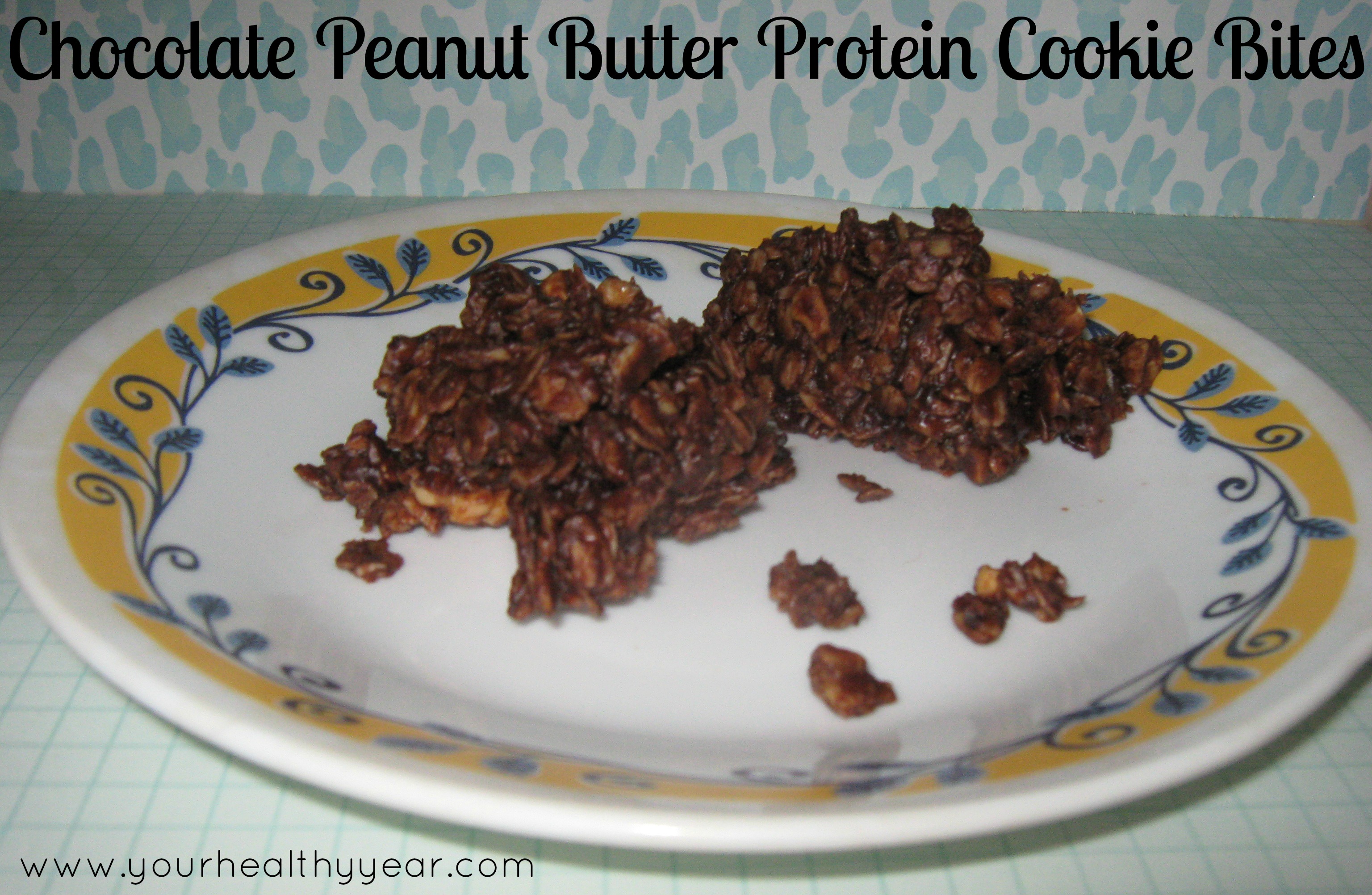 Chocolate Peanut Butter Protein Cookie Bites