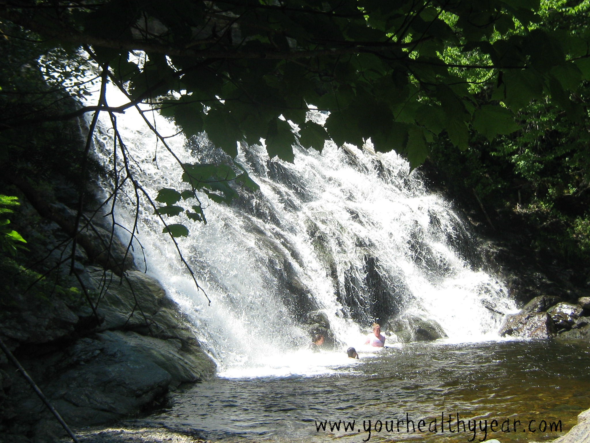 swimming laverty falls