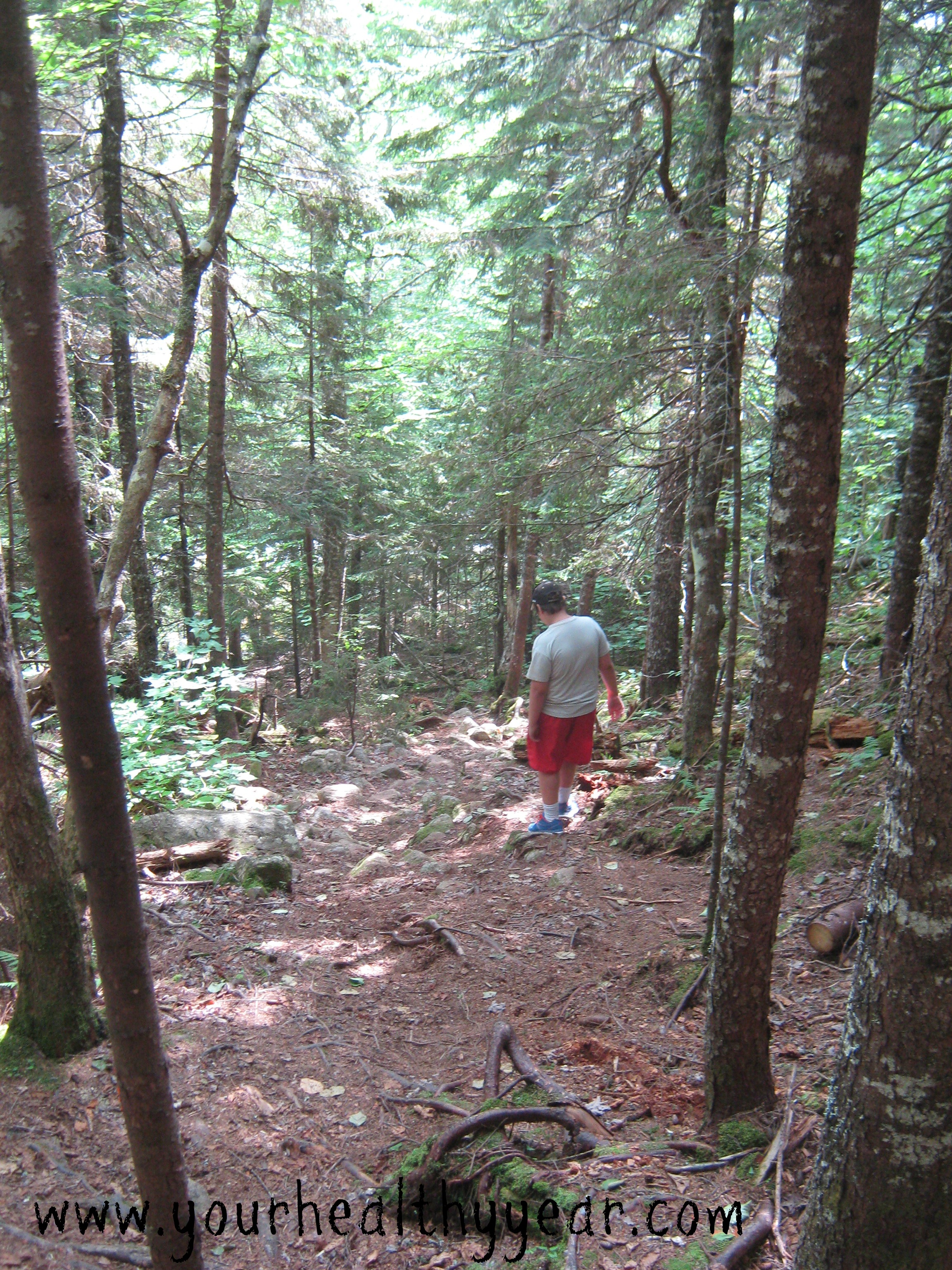 moosehorn forest trail