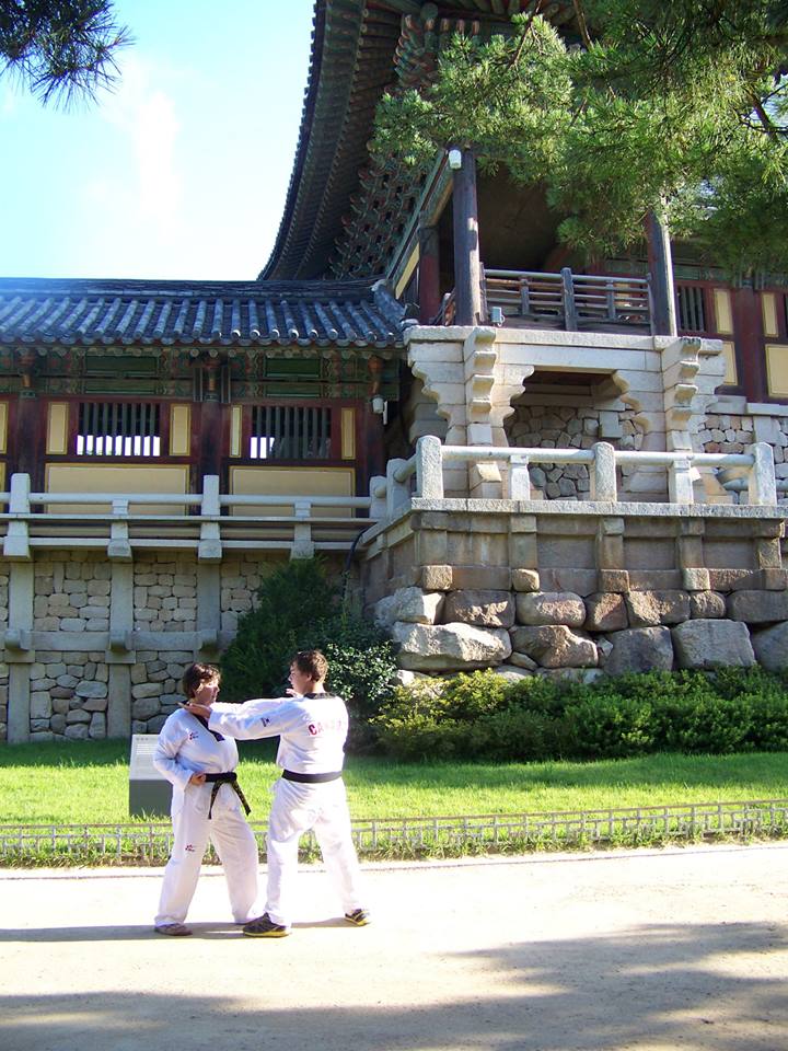 Taekwondo Martial Art