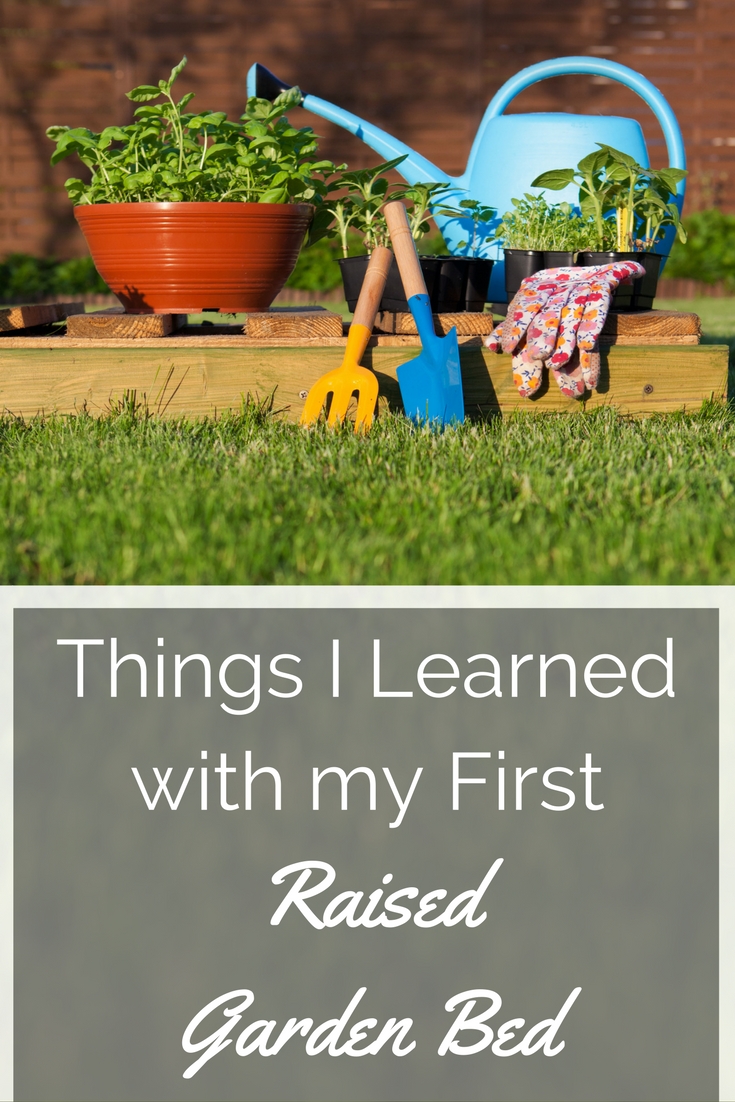 6 Things I Learned with my First Raise Garden Bed