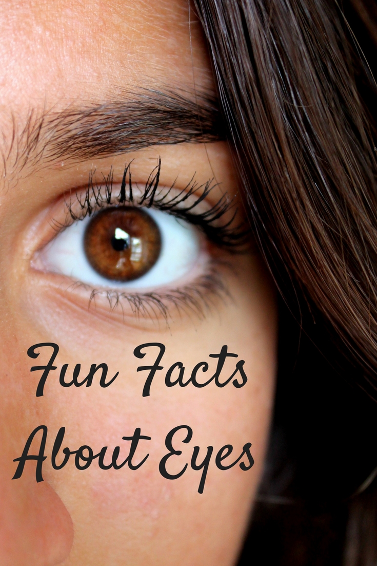 Fun Facts About Eyes!