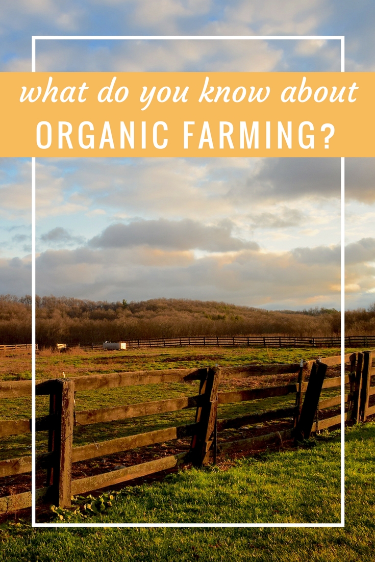 Advantages of Organic Farming