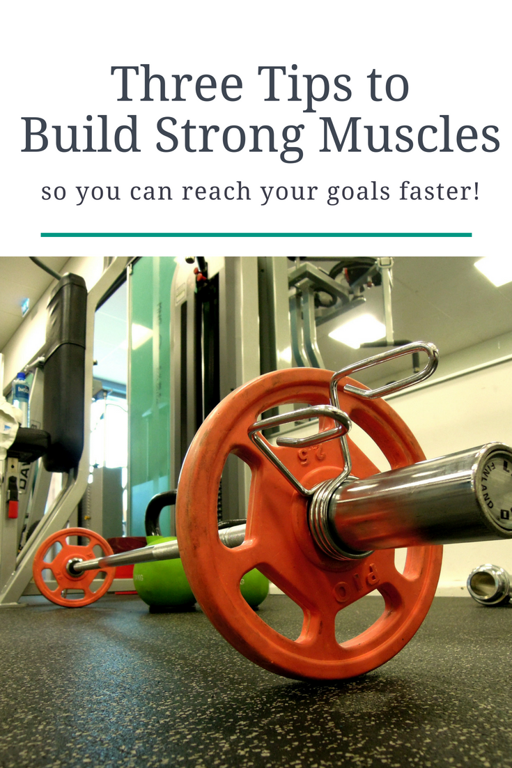 Gain muscle fast with these muscle building tips!